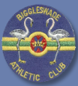 biggleswade-athletics-club
