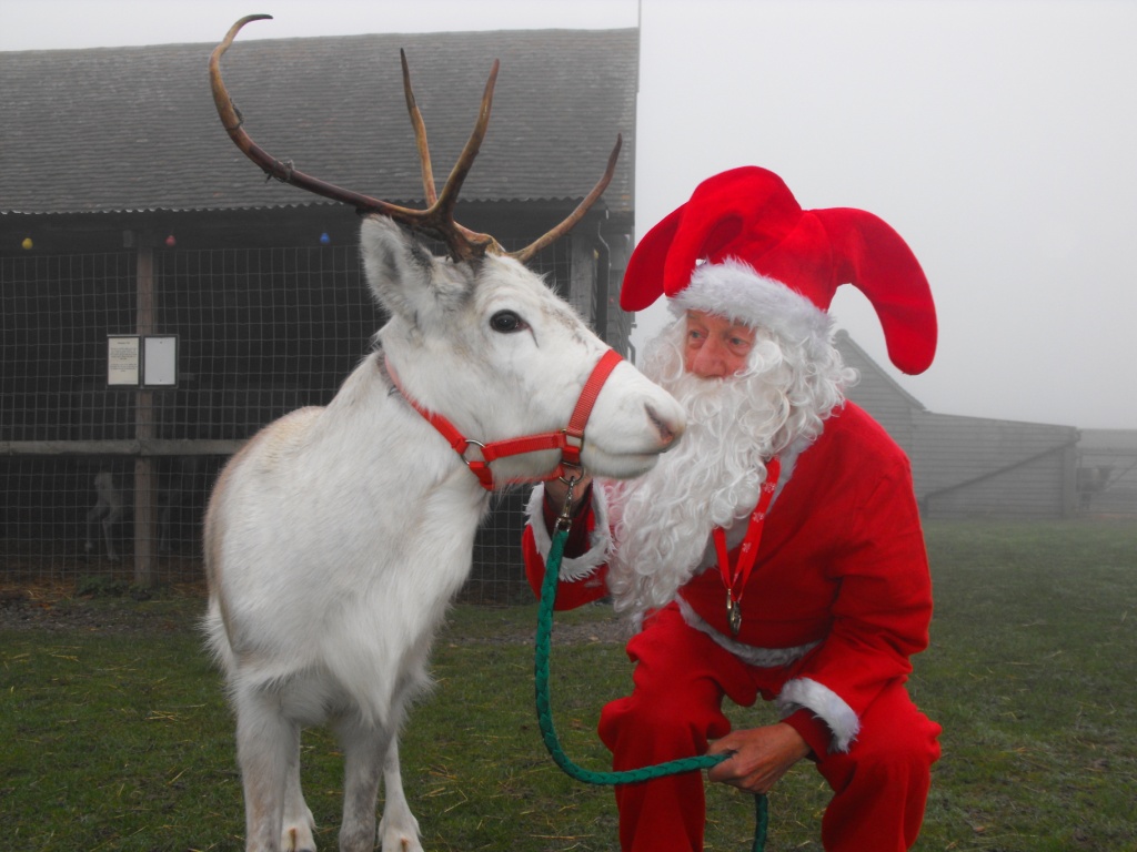 Eastbourne Santa Fun Run & Walk 2012