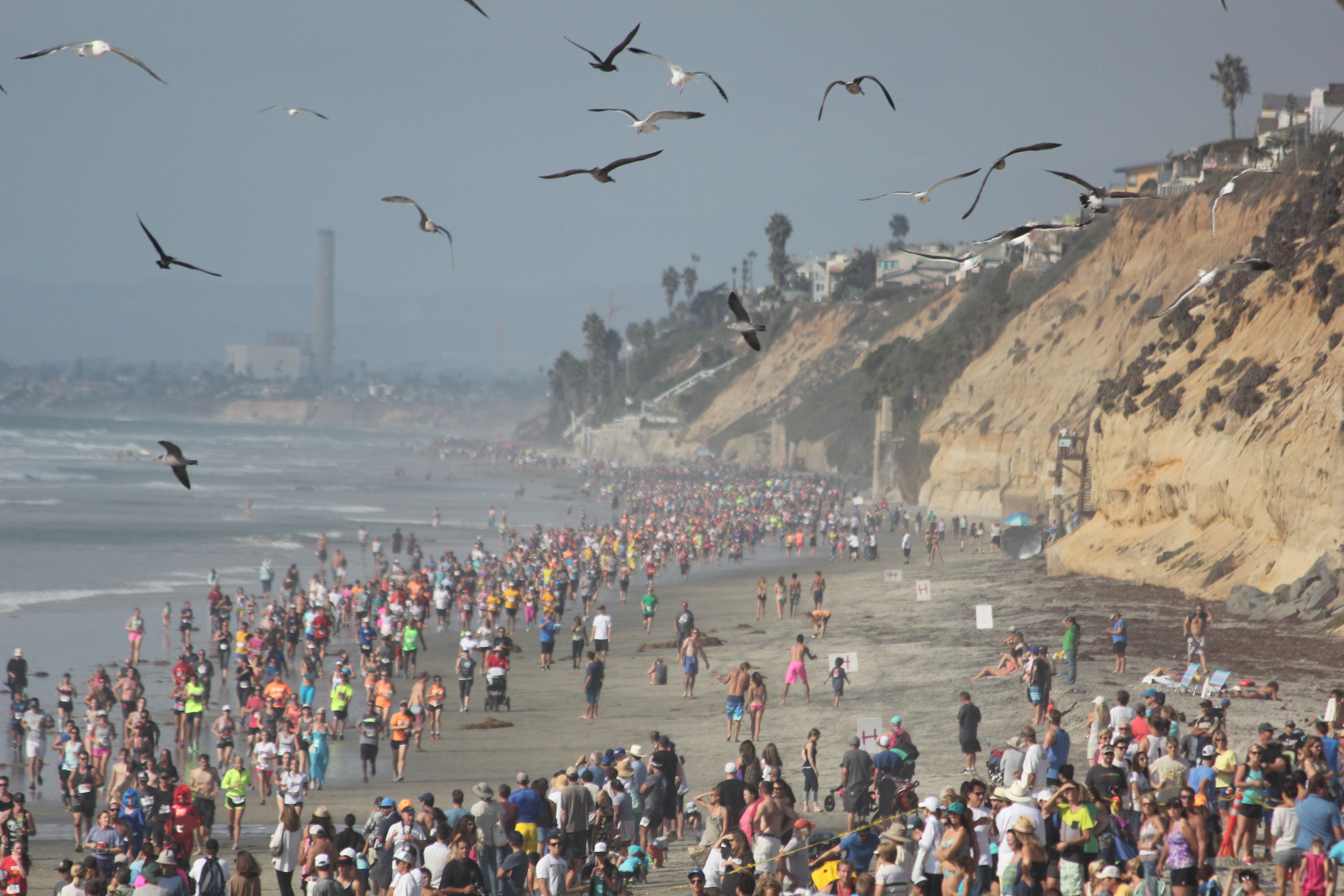 10 Mile 10k 5k Race 3rd Annual Surfing Madonna 5k10k And