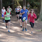 Forest of Dean Autumn Trails