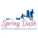 WHAM Virtual Spring Dash