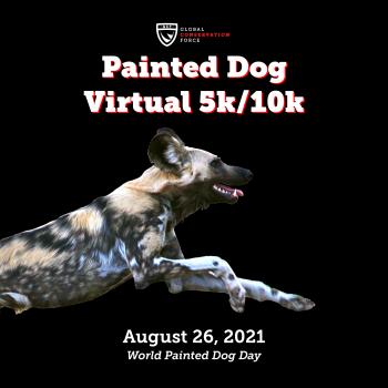 Painted Dog Virtual 5k/10k