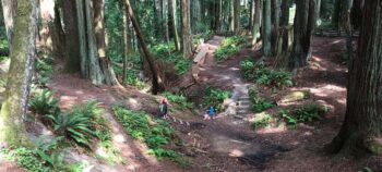 Sequoia Park Find-Your-Way 5K & 5M