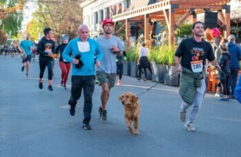 Healdsburg Turkey Trot