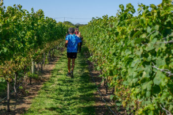 2025 Wine Run at Westport Rivers Vineyard and Winery - 5k