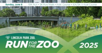 Run for the Zoo