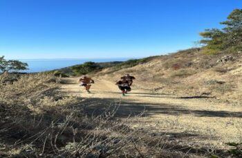 Catalina Island Marathon, 10K, 5K