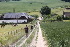 North Downs Run