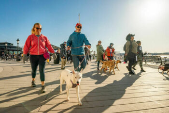 ALX Dog Walk Event and Sustainability Festival